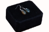 Picture of BLOOD STONE Ear Rings
