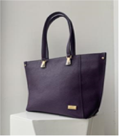 Picture of Gigi’s tote bag