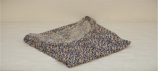 Picture of Men's leopard t-shirt