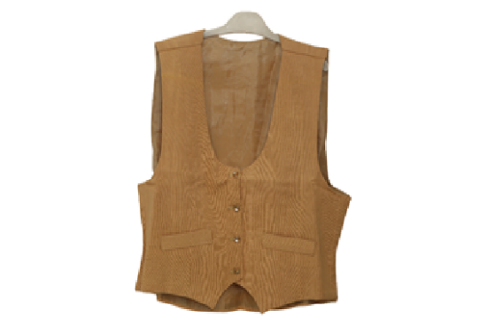 Picture of Women brown top