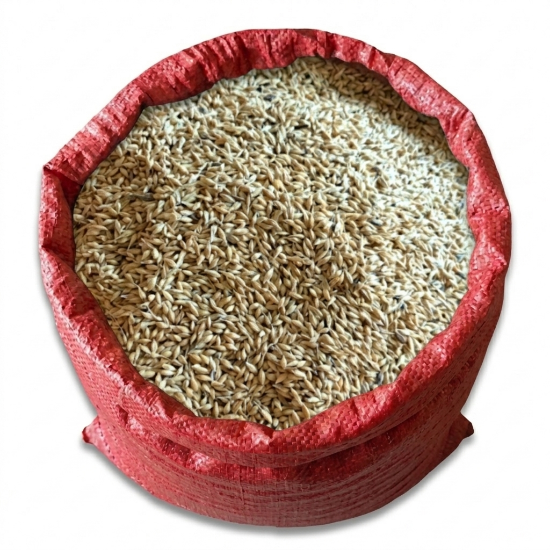 Picture of ነጭ ገብስ ( White Wheat ) - 1Kg