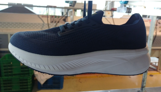Picture of Sport 2501 ( 39 -43)