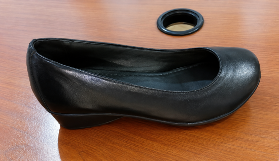 Picture of Women Shoe