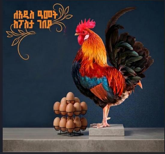Picture of 1 ኪሎ የተበለተ ዶሮ እና 10 እንቁላል